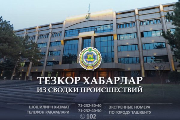 Гидра и кракен