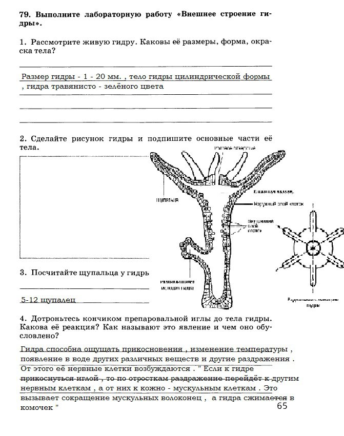 Сайт krn