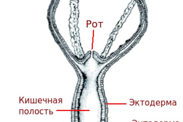 Кракен крипто