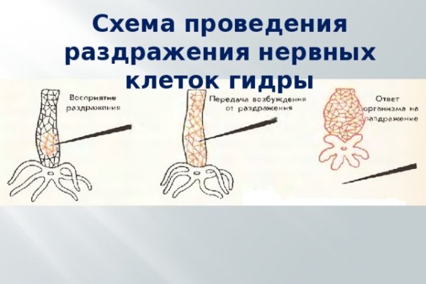 Кракен переход